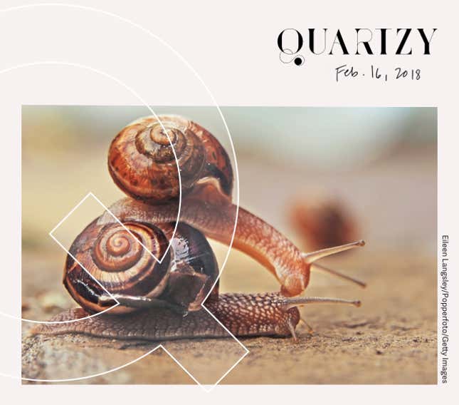 Image for article titled Quartzy: the romantic pursuit edition