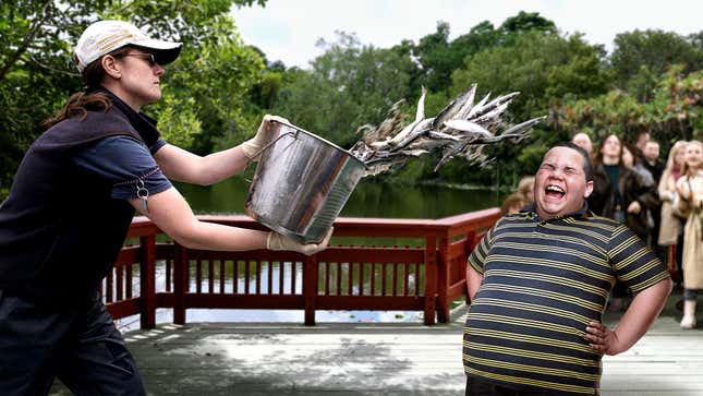 Image for article titled Spectators Cheer As Zookeeper Throws Fish To Very Chubby Boy