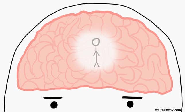 Image for article titled A successful life depends on following your instincts over your primal need to fit in