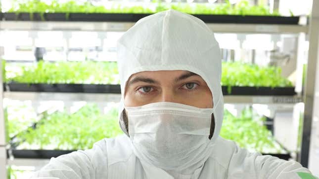 Dan Frommer in Toshiba clean room