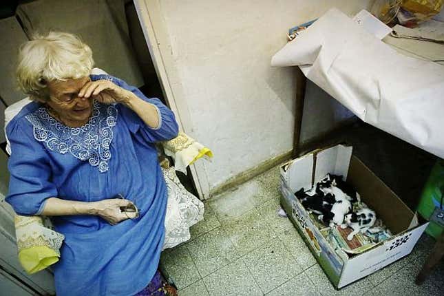 Asia Konarov was evicted from her apartment. Pictured here with the six kittens she rescued.