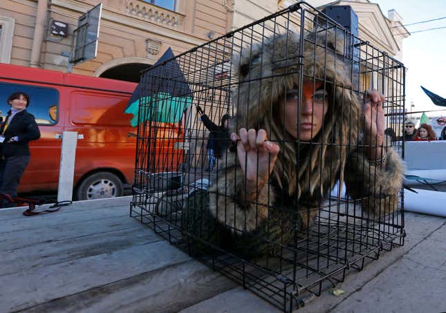 Animal rights activists in Russia.