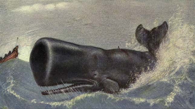 Image for article titled How realistic are the vengeful whales of “Moby-Dick” and “In the Heart of the Sea,” really?