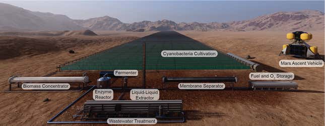 Concepción artística del posible biorreactor en Marte