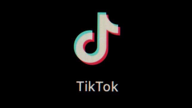 Image for article titled The Feds Asked TikTok for Lots of Domestic Spying Features