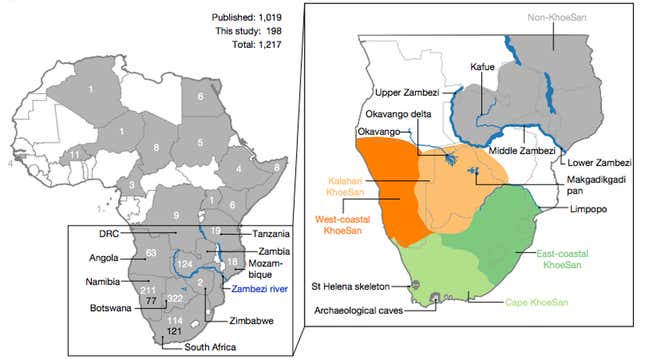 The left map shows the distribution of ancestral DNA among the sampled population. This allowed the ancestral homeland to be pinpointed to a region (shown on the right in pale orange) south of the Zambezi River, centred on northern Botswana