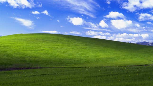 "Bliss," the default desktop background of the Windows XP operating system.