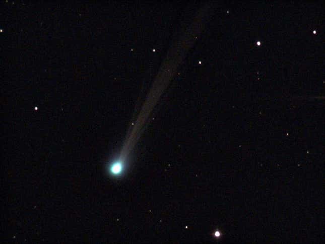 Comet Nishimura.