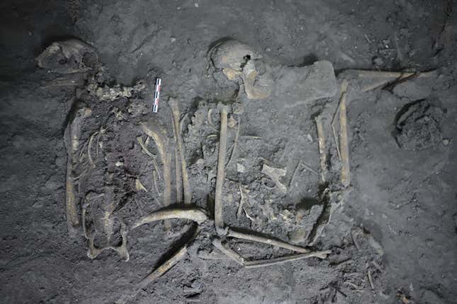 El esqueleto de un mono araña de 1.700 años encontrado en Teotihuacán