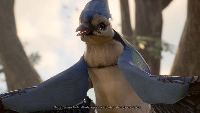 A very happy blue jay.