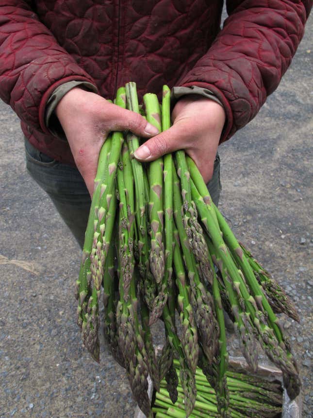 Want tasty asparagus? Buy it in season from nearby—organic or not.