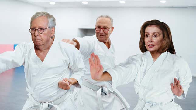Image for article titled Congress Preparing For Another January 6 By Enrolling In Group Karate Class