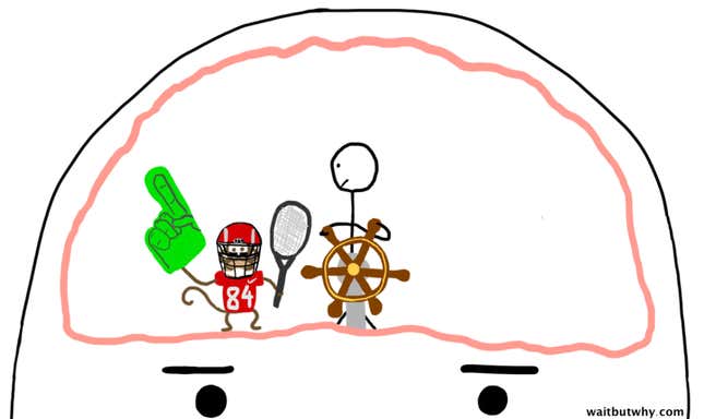 Image for article titled Why do people care so much about sports, anyway?