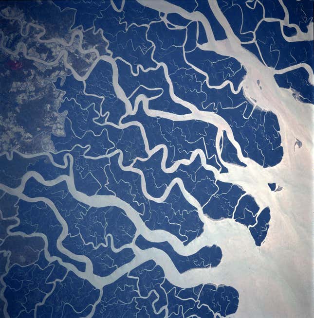 Image for article titled The winding beauty of the world’s rivers, seen from space