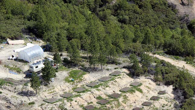 In this undated photo released by Butte County Department of Public Works, marijuana grading violations are seen off of Crystal Ranch Road in the Feather Falls area in Butte County, Calif. With parts of Northern California’s scenic hillsides illegally gouged by bulldozers for marijuana grows, frustrated local officials asked the state for help to protect tributaries of the Sacramento River from runoff of sediment and the chemicals used on plants. The Butte County supervisors hoped to charge growers with tougher penalties under federal and state clean water regulations than the grading infractions local officials could impose if the gardens were legal under state medical marijuana laws. (AP Photo/Butte County Department of Public Works
