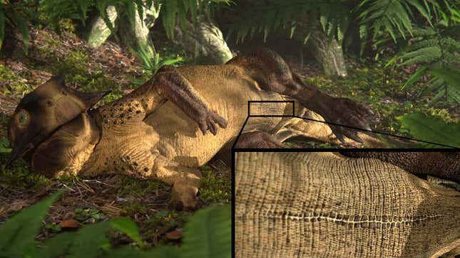 Imagen para el artículo titulado Descubren por primera vez el ombligo de un dinosaurio en un fósil bien conservado