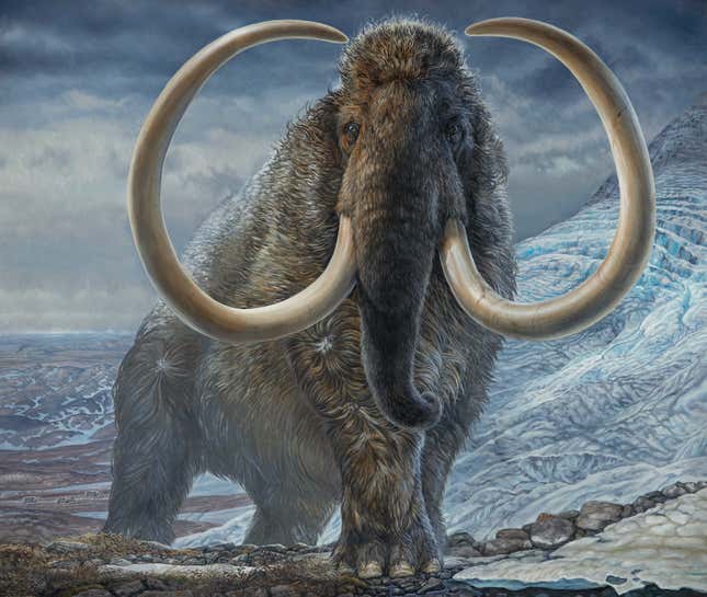 Illustration of a woolly mammoth