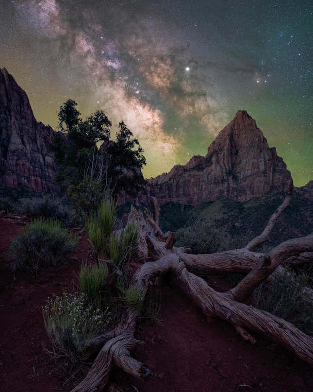 “The Watchman,” Zion National Park, Utah, USA.