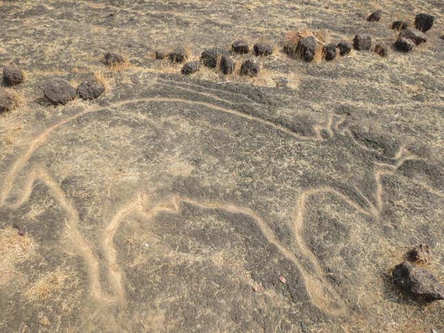 One of the animal figures engraved on the rocks.