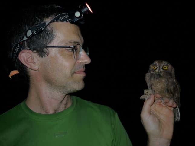 photo of man holding small owl
