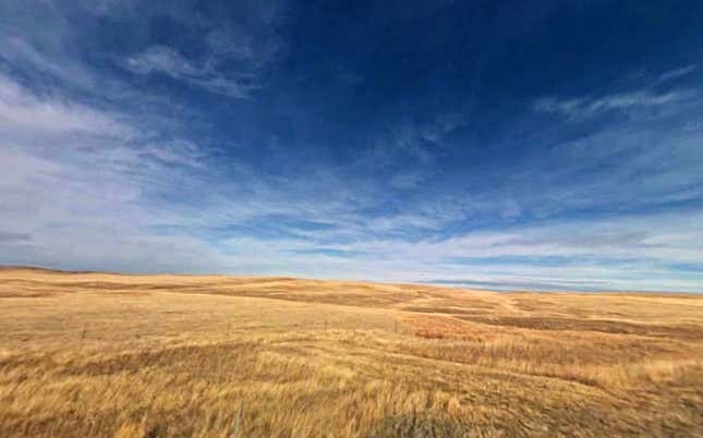 You won’t find a Starbucks amid these amber waves.