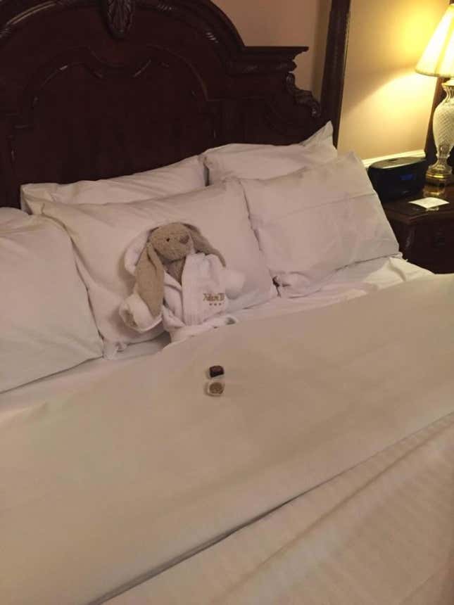 Image for article titled Photos: A hotel tracks down a lost stuffed bunny, delightfully gives it the five-star treatment
