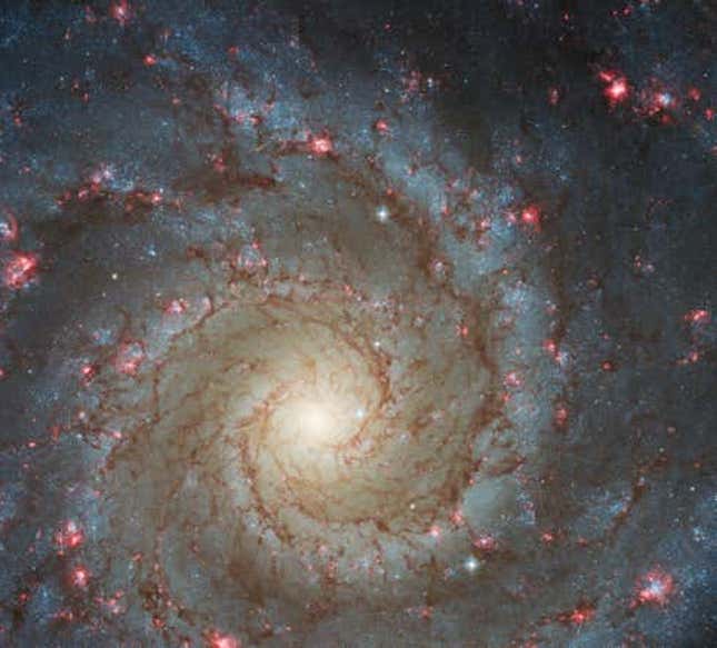 M74 en luz óptica. Las manchas de color rosa brillante son áreas ricas en hidrógeno donde se forman las estrellas.