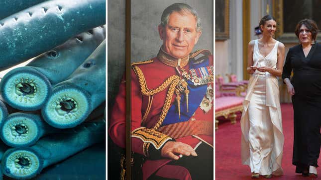 Image for article titled The Most Eyebrow-Raising Elements of King Charles&#39; Coronation, Explained
