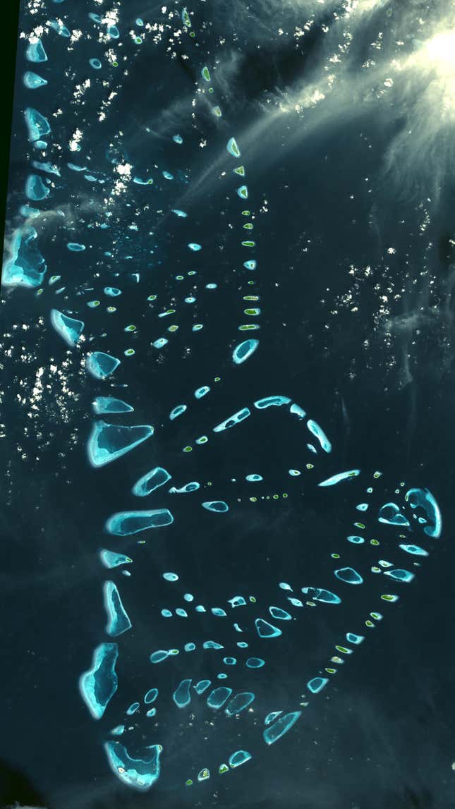 Image for article titled The beautiful and distinctive shapes of atolls, seen from space