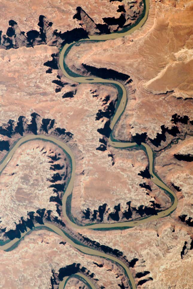 Image for article titled The winding beauty of the world’s rivers, seen from space