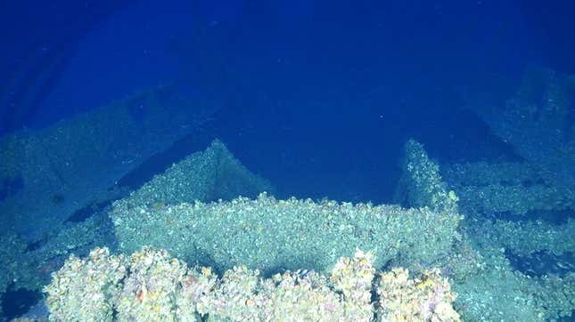 Image for article titled Archaeologists Find Three Shipwrecks In the Mediterranean's Treacherous Keith Reef