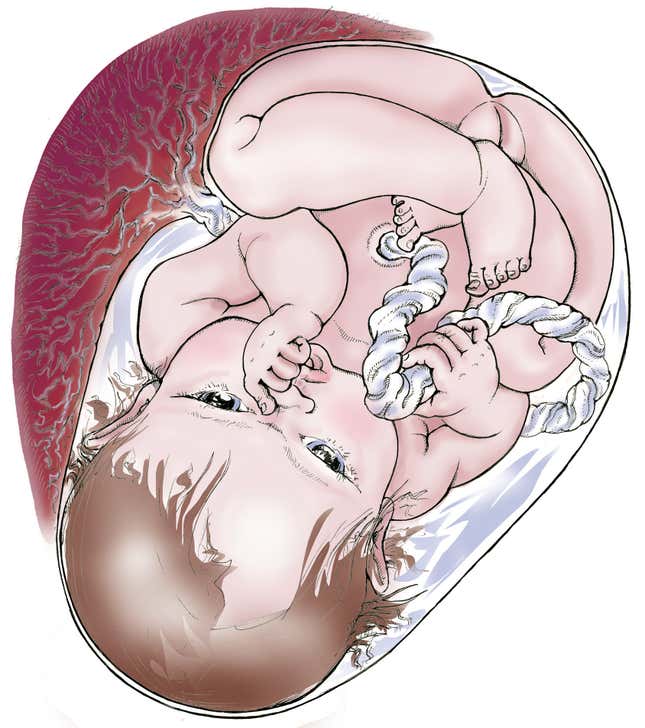A full-term baby.