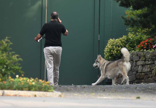Gov. Andrew Cuomo talks on the phone while walking with his dog Captain at the New York state Executive Mansion, Saturday, Aug. 7, 2021, in Albany, N.Y.