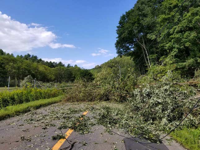 Trees block the road leading to Atsuma after an earthquake hit Hokkaido, in Mukawa.