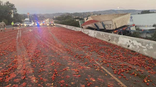 Image for article titled Truck Dumps 150,000 Tomatoes on California Interstate, Italians Weep