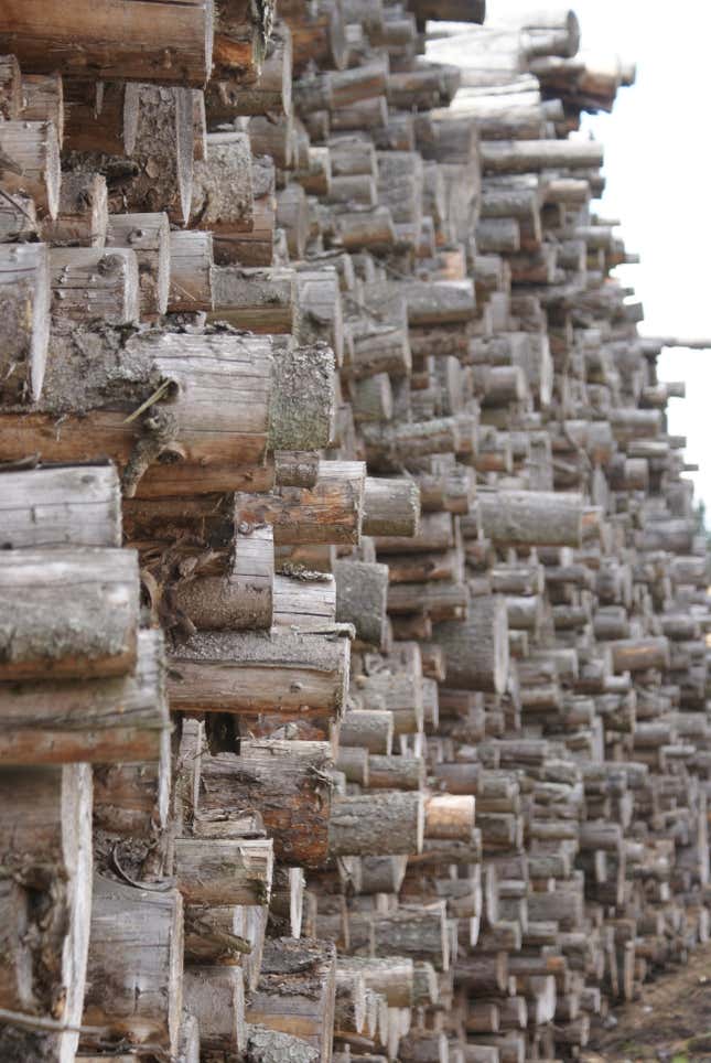Kalmar Energi’s fuel: wood harvested from forests within 70km of the power plant.