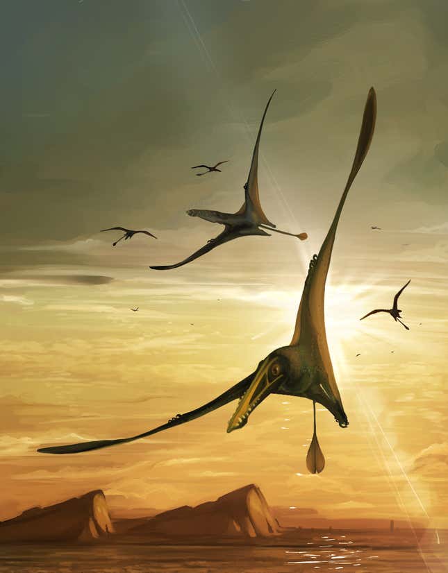 Five pterosaurs soar over the sea in what is now Scotland, some 170 million years ago.