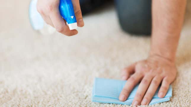 Image for article titled How to Remove Tar Stains From Your Carpet
