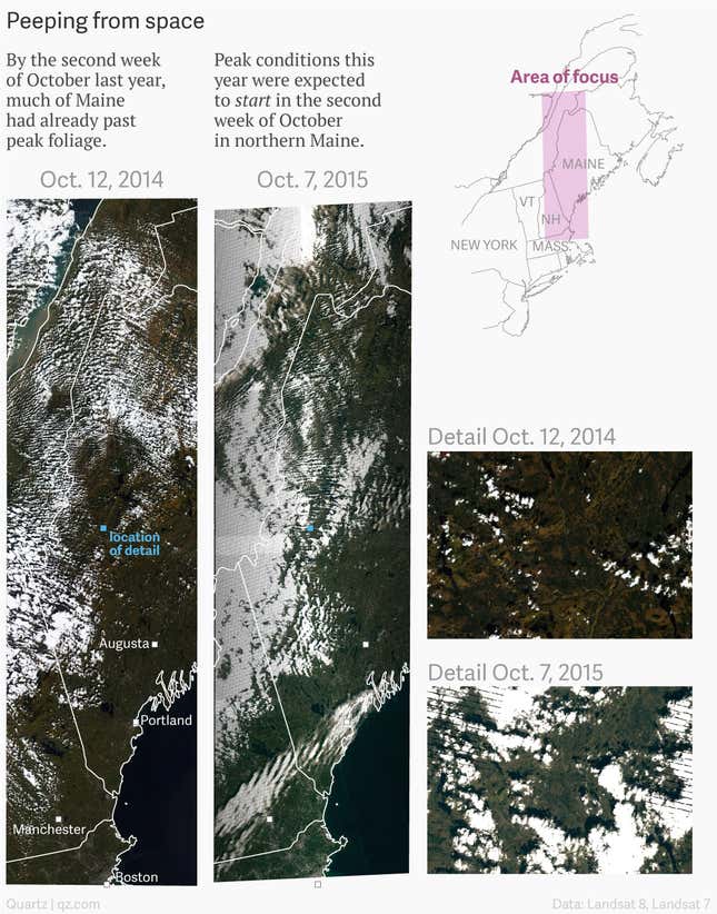 Image for article titled Warm temperatures are screwing up Maine’s famous foliage