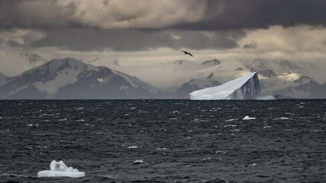 A view of icebergs in Grandidier Channel in Antarctica on February 9, 2022.