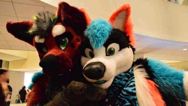 Two fox furs pose for a photo.