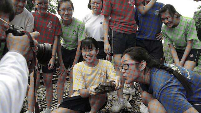 La mente te engaña: estas fotos están en blanco y negro, pero tu cerebro rellena los huecos