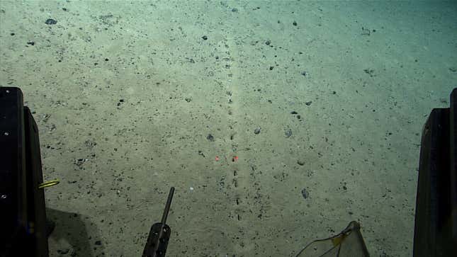 Photo of holes in ocean floor