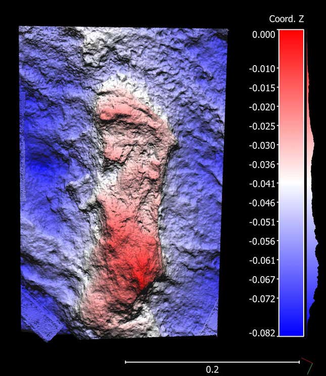 Photogrammetry color mesh, infill layer showing hominin track in Garden Route National Park. Horizontal and vertical scales are in meters.