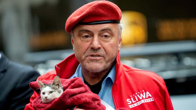 Image for article titled Will Feral Cats Win New York City&#39;s War on Rats?
