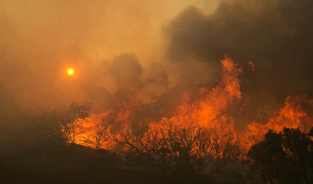 Image for article titled Wildfires in Napa and Sonoma threaten California’s renowned wine country
