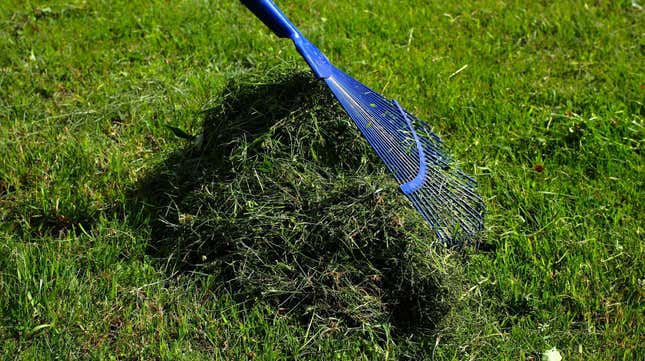 Image for article titled 14 Things You Should Never Do to Your Lawn