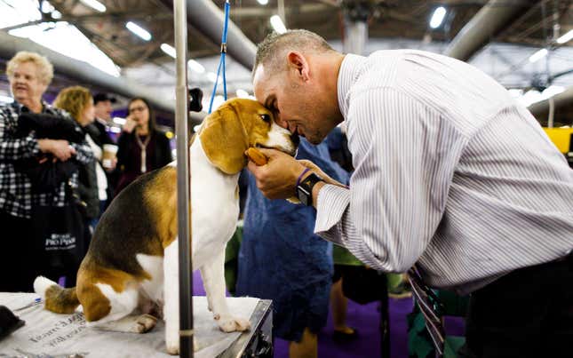 Image for article titled King’s realm: Behind the scenes at the Westminster Dog Show