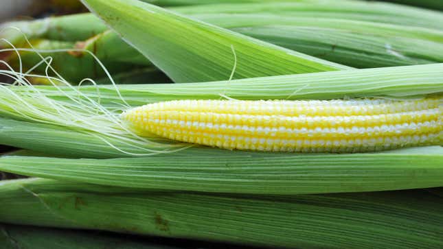 baby-corn-explained