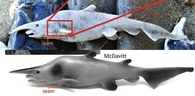 Imagen de comparación de un tiburón de juguete y un presunto espécimen de tiburón